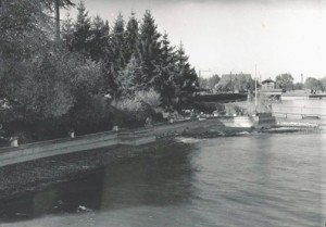 C 08