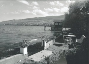 C 22