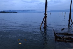 IMG_4426