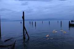 IMG_4427