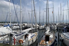 IMG_E4437