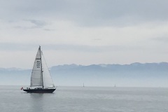IMG_E6620