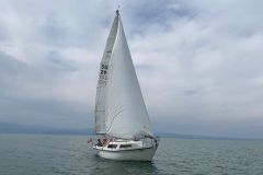 NVPV6522