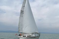 WYBL8981